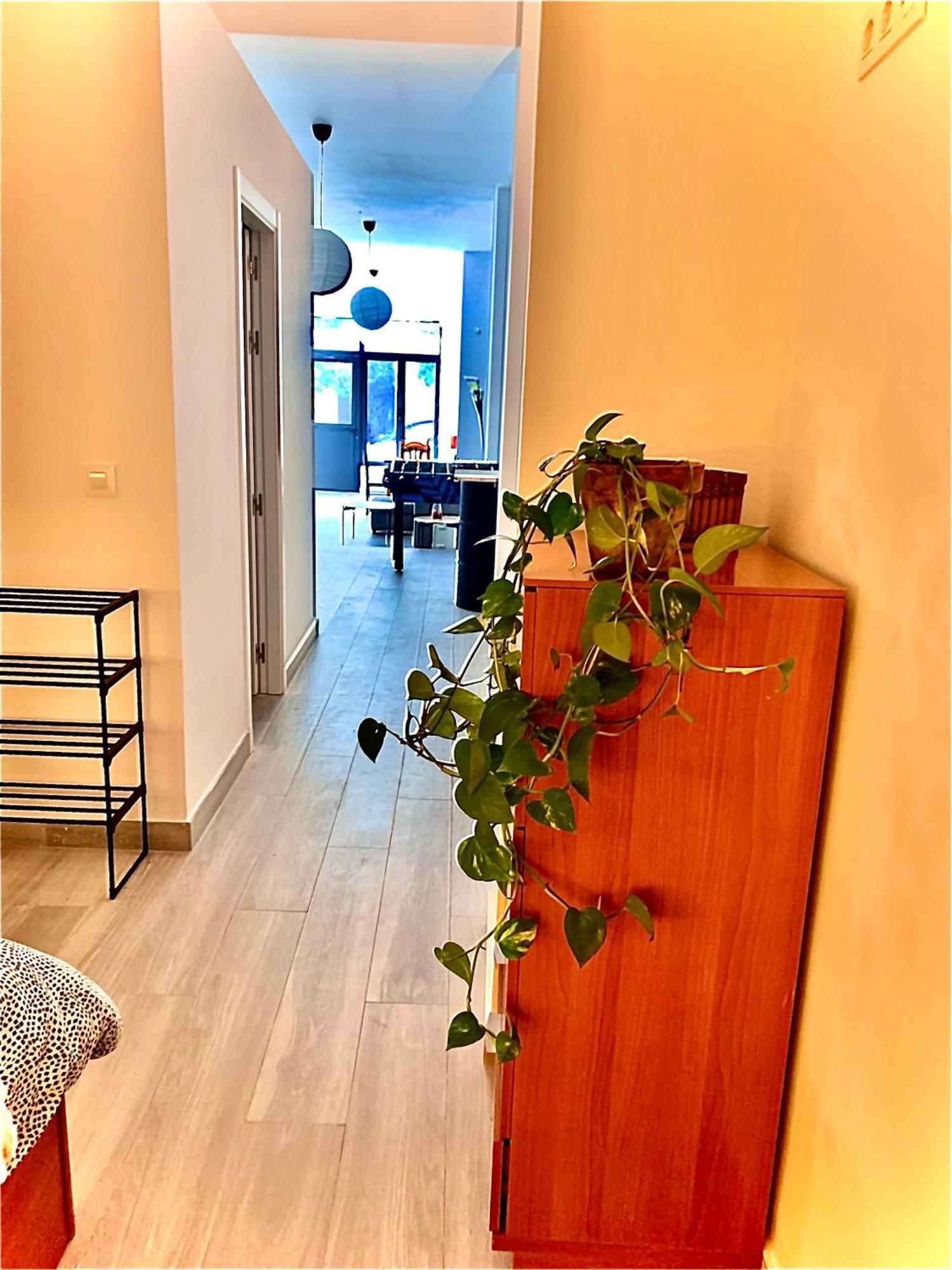 Violeta Loft A With Chill Out Terrace Sevilla 外观 照片